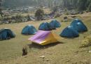 Kareri- Triund Trekking in Dhauladhar